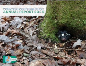 PNHP 2024 Annual Report